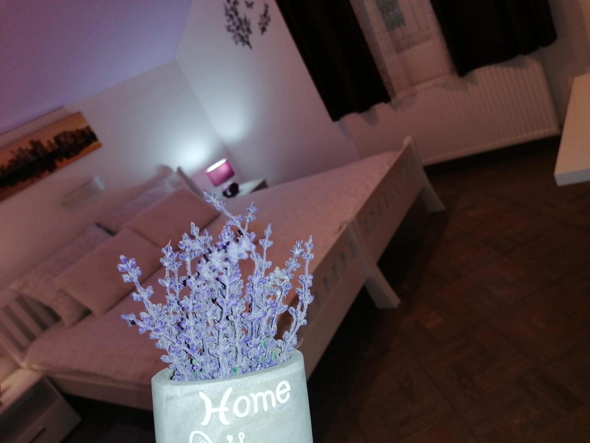 Guest House Macic Korenica Pokoj fotografie
